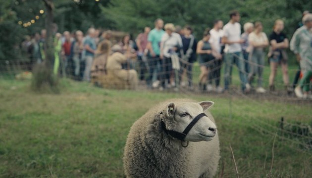 Geluif in ‘t goeje
